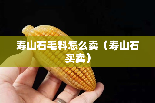 寿山石毛料怎么卖（寿山石买卖）