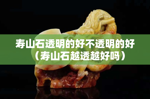 寿山石透明的好不透明的好（寿山石越透越好吗）