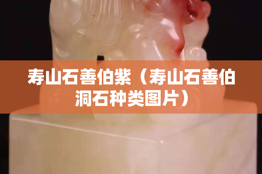 寿山石善伯紫（寿山石善伯洞石种类图片）