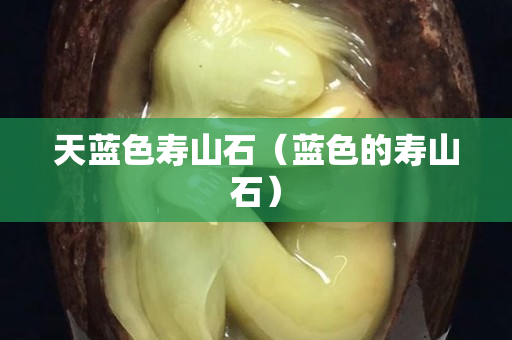 天蓝色寿山石（蓝色的寿山石）