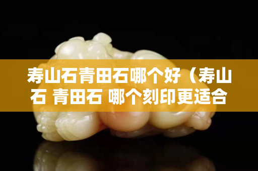 寿山石青田石哪个好（寿山石 青田石 哪个刻印更适合）
