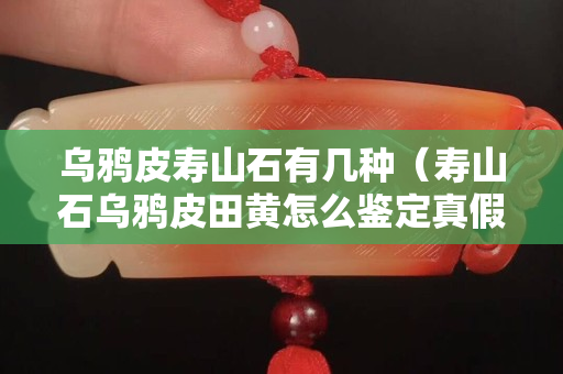 乌鸦皮寿山石有几种（寿山石乌鸦皮田黄怎么鉴定真假）