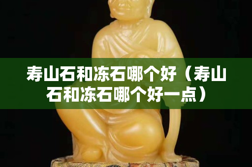 寿山石和冻石哪个好（寿山石和冻石哪个好一点）