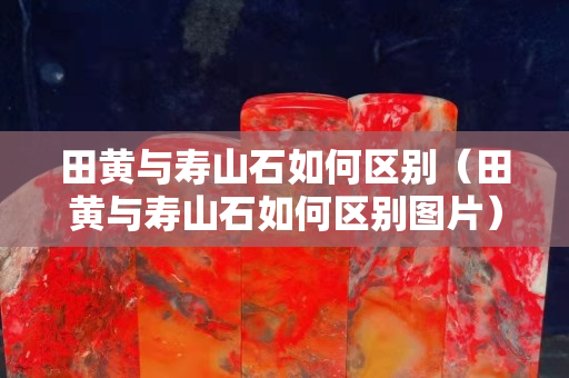 田黄与寿山石如何区别（田黄与寿山石如何区别图片）