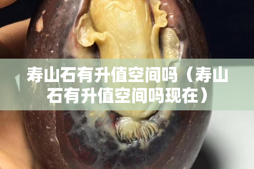 寿山石有升值空间吗（寿山石有升值空间吗现在）