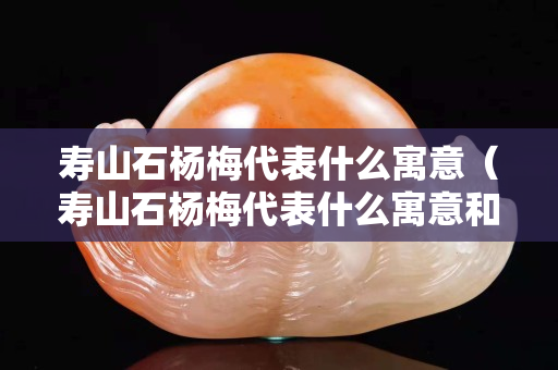 寿山石杨梅代表什么寓意（寿山石杨梅代表什么寓意和象征）