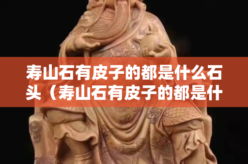 寿山石有皮子的都是什么石头（寿山石有皮子的都是什么石头图片）
