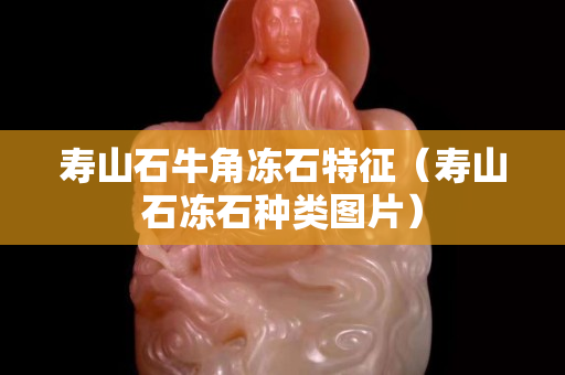 寿山石牛角冻石特征（寿山石冻石种类图片）