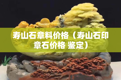 寿山石章料价格（寿山石印章石价格 鉴定）