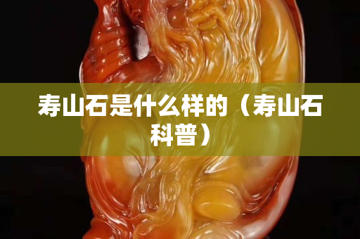 寿山石是什么样的（寿山石科普）