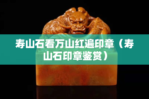 寿山石看万山红遍印章（寿山石印章鉴赏）