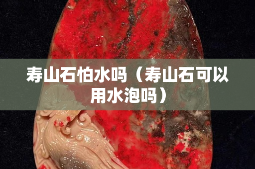 寿山石怕水吗（寿山石可以用水泡吗）