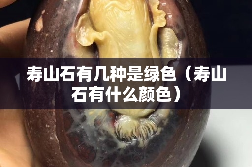 寿山石有几种是绿色（寿山石有什么颜色）