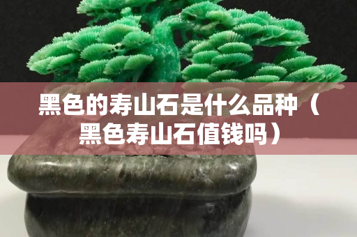黑色的寿山石是什么品种（黑色寿山石值钱吗）