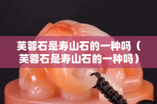 芙蓉石是寿山石的一种吗（芙蓉石是寿山石的一种吗）