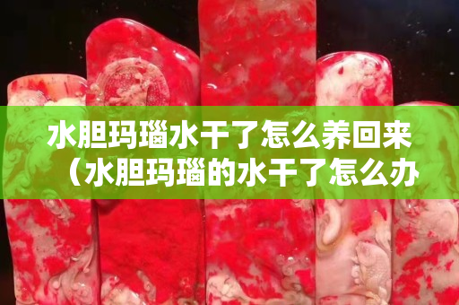 水胆玛瑙水干了怎么养回来（水胆玛瑙的水干了怎么办）