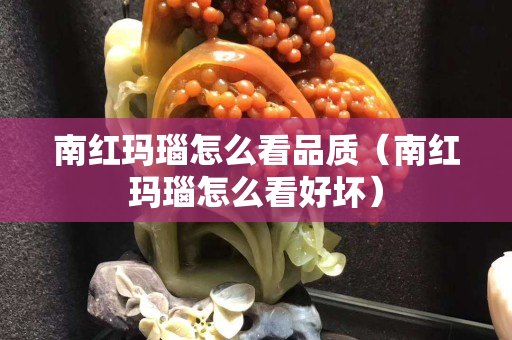 南红玛瑙怎么看品质（南红玛瑙怎么看好坏）