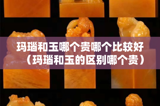 玛瑙和玉哪个贵哪个比较好（玛瑙和玉的区别哪个贵）