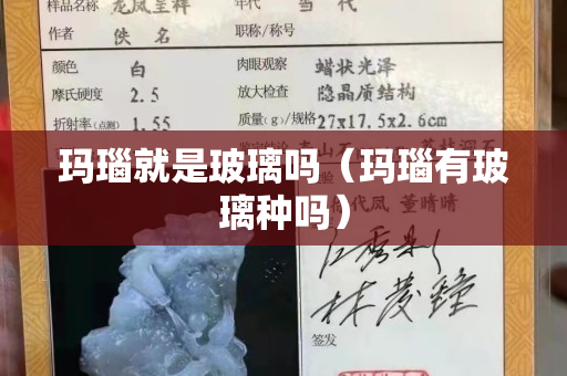 玛瑙就是玻璃吗（玛瑙有玻璃种吗）