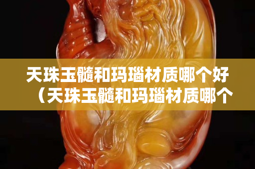天珠玉髓和玛瑙材质哪个好（天珠玉髓和玛瑙材质哪个好一些）