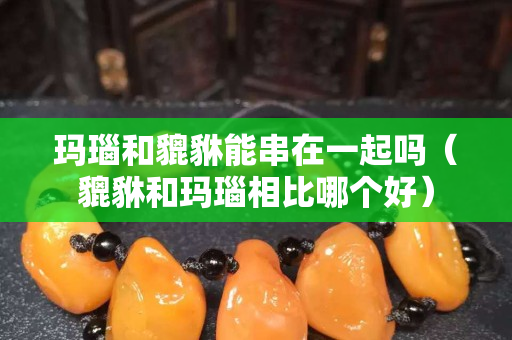 玛瑙和貔貅能串在一起吗（貔貅和玛瑙相比哪个好）