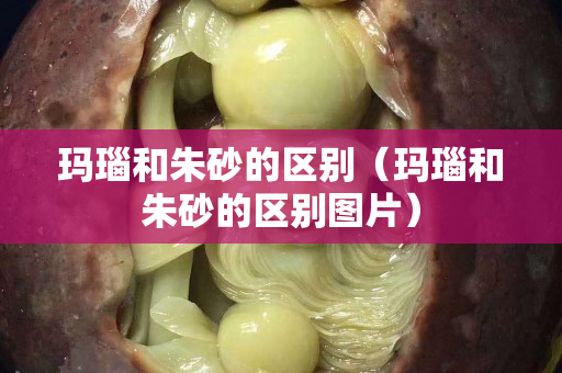 玛瑙和朱砂的区别（玛瑙和朱砂的区别图片）