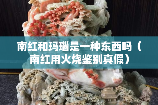南红和玛瑙是一种东西吗（南红用火烧鉴别真假）