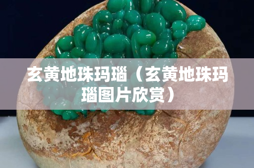玄黄地珠玛瑙（玄黄地珠玛瑙图片欣赏）