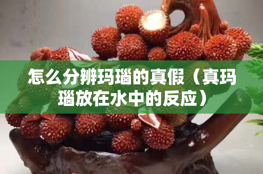 怎么分辨玛瑙的真假（真玛瑙放在水中的反应）