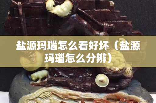 盐源玛瑙怎么看好坏（盐源玛瑙怎么分辨）