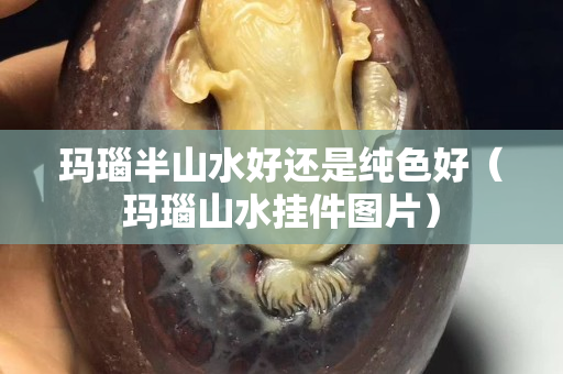 玛瑙半山水好还是纯色好（玛瑙山水挂件图片）