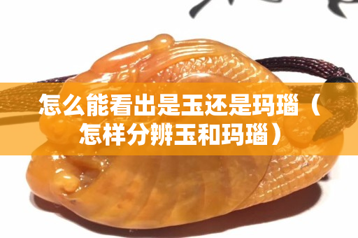 怎么能看出是玉还是玛瑙（怎样分辨玉和玛瑙）