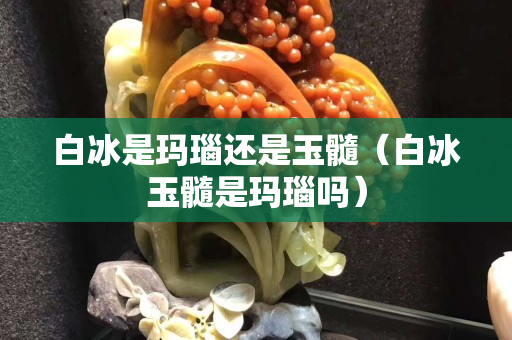 白冰是玛瑙还是玉髓（白冰玉髓是玛瑙吗）