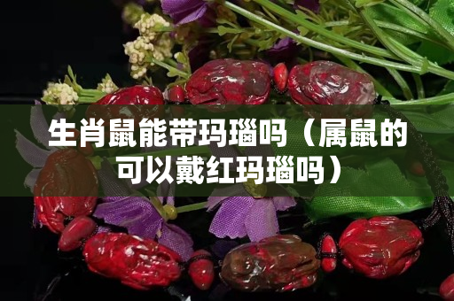 生肖鼠能带玛瑙吗（属鼠的可以戴红玛瑙吗）