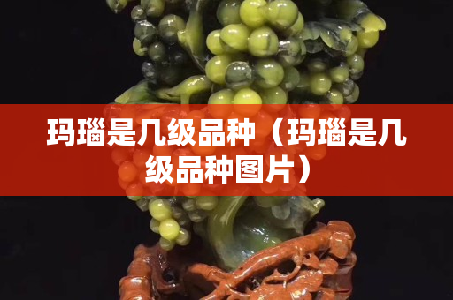 玛瑙是几级品种（玛瑙是几级品种图片）