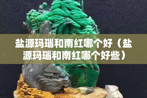 盐源玛瑙和南红哪个好（盐源玛瑙和南红哪个好些）