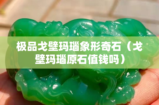 极品戈壁玛瑙象形奇石（戈壁玛瑙原石值钱吗）