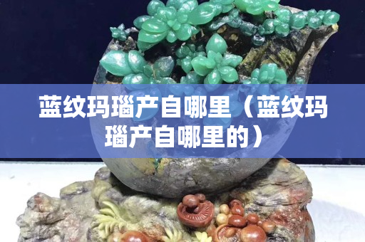 蓝纹玛瑙产自哪里（蓝纹玛瑙产自哪里的）