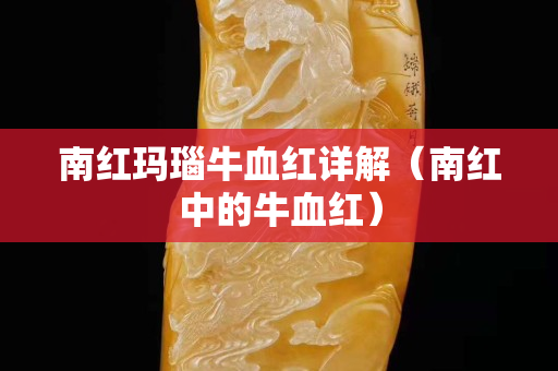 南红玛瑙牛血红详解（南红中的牛血红）