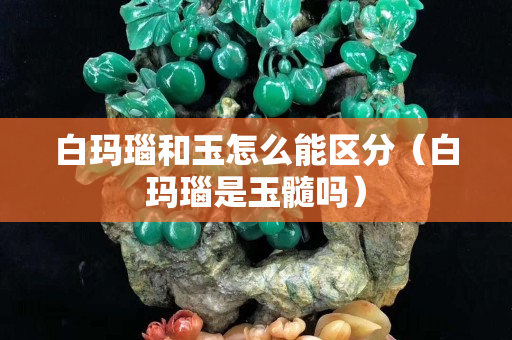 白玛瑙和玉怎么能区分（白玛瑙是玉髓吗）