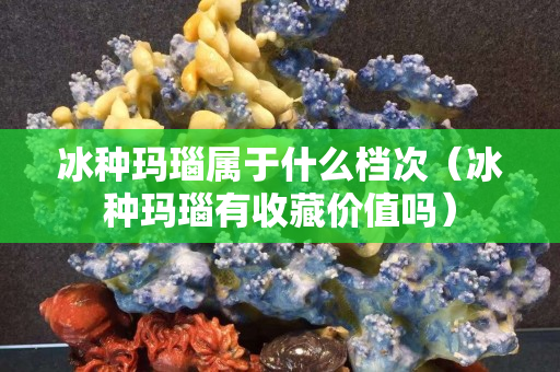 冰种玛瑙属于什么档次（冰种玛瑙有收藏价值吗）