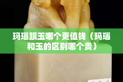 玛瑙跟玉哪个更值钱（玛瑙和玉的区别哪个贵）