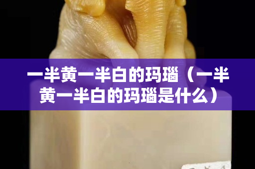 一半黄一半白的玛瑙（一半黄一半白的玛瑙是什么）