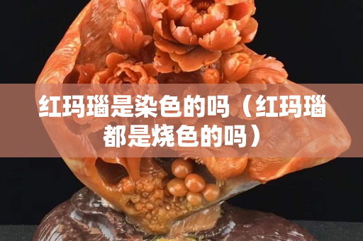 红玛瑙是染色的吗（红玛瑙都是烧色的吗）