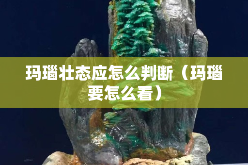玛瑙壮态应怎么判断（玛瑙要怎么看）