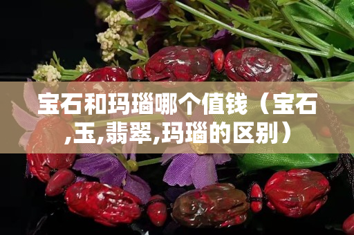 宝石和玛瑙哪个值钱（宝石,玉,翡翠,玛瑙的区别）