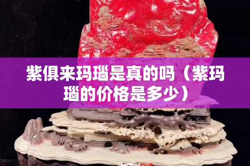 紫俱来玛瑙是真的吗（紫玛瑙的价格是多少）