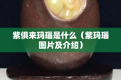 紫俱来玛瑙是什么（紫玛瑙图片及介绍）