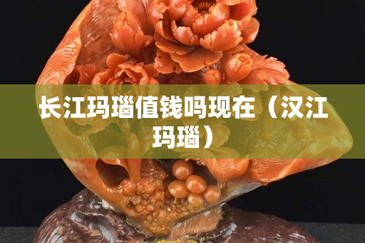 长江玛瑙值钱吗现在（汉江玛瑙）