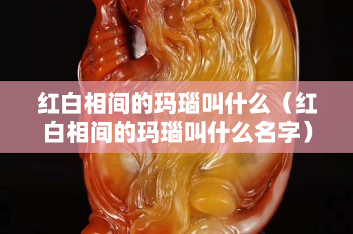红白相间的玛瑙叫什么（红白相间的玛瑙叫什么名字）